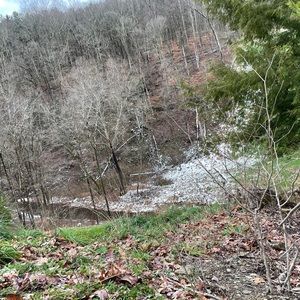 Meet your Posher, Tanner